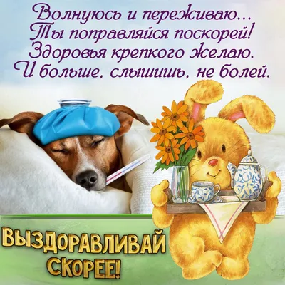 Идеи на тему «Не болей» (45) | открытки, скорейшего выздоровления, картинки