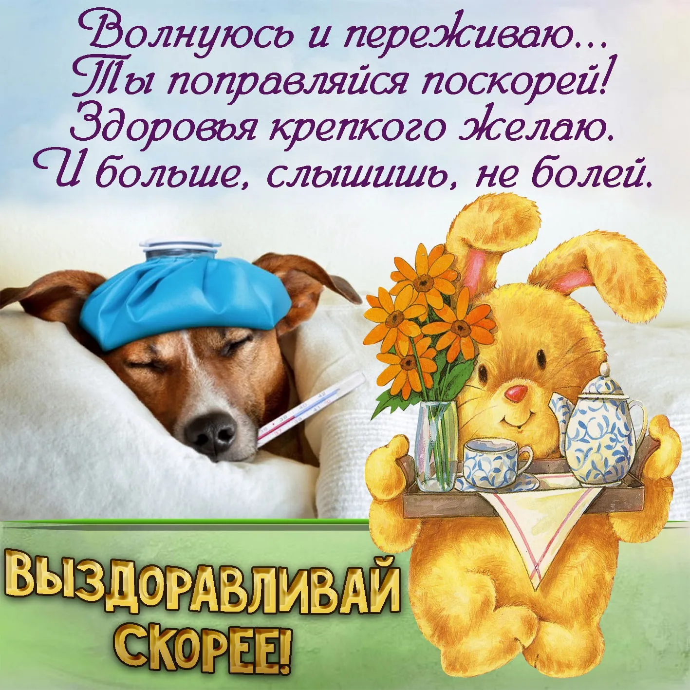 Идеи на тему «Не болей» (45) | открытки, скорейшего выздоровления, картинки Идеи на тему «Не болей» (45) | открытки, скорейшего выздоровления, картинки