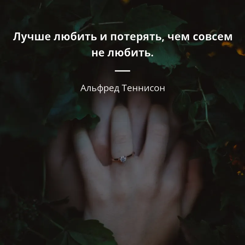 Альфред Теннисон цитата: „Лучше любить и потерять, чем совсем не любить.“ Альфред Теннисон цитата: „Лучше любить и потерять, чем совсем не любить.“