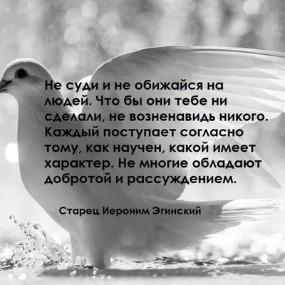 Как сказать на Английский (британский вариант)? \"Не обижайся на меня/Я не  обижаюсь\" | HiNative