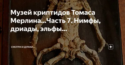 Пин от пользователя Ольга Городилова на доске Феи в 2024 г | Цветочные феи,  Детские новогодние открытки, Милые рисунки
