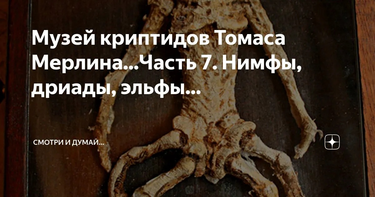 Пин от пользователя Ольга Городилова на доске Феи в 2024 г | Цветочные феи, Детские новогодние открытки, Милые рисунки Пин от пользователя Ольга Городилова на доске Феи в 2024 г | Цветочные феи, Детские новогодние открытки, Милые рисунки