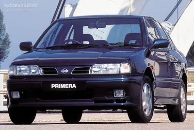 Nissan Primera (2005) - picture 2 of 4