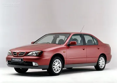 Nissan Primera (P12). Отзывы владельцев с фото — DRIVE2.RU