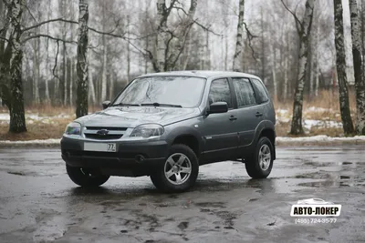 AUTO.RIA – Продажа Шевроле Нива бу: купить Chevrolet Niva в Украине