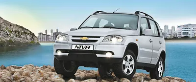 Купить набор БРОНЕКОР для покраски Niva Chevrolet НИВА Шевроле. Защитное  покрытие для авто.