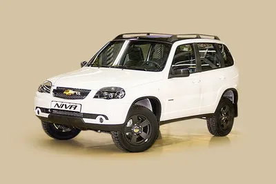 Пневмобаллоны в пружины на Ниву Шевролет (NIva Chevrolet).
