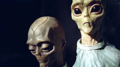 Они уже здесь\". В США пришли к неожиданному выводу об инопланетянах - РИА  Новости, 31.05.2023