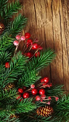 обои новый год на айфон - Поиск в Google | Christmas wallpaper, Holiday  wallpaper, Christmas background