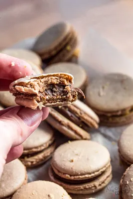 Peanut Butter Nutella No Bake Cookies