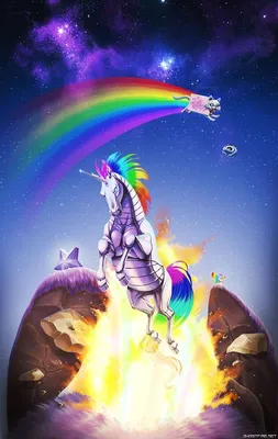 Pin by Rose on Unicorns and llamas | Nyan cat, Cats, Unicorn print