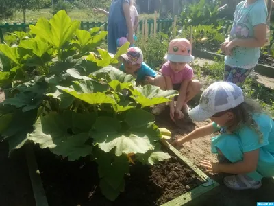 Куда сходить с ребенком на летних каникулах, и чем занять свободное время  летом?