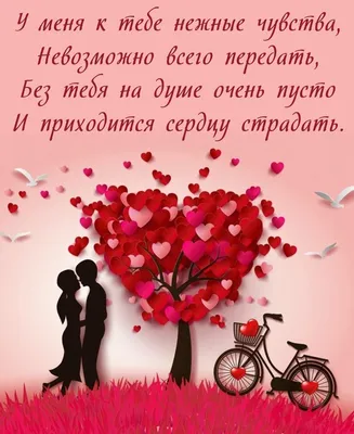 Почему мужчины хотят секса, а женщины любви, Аллан Пиз – скачать книгу fb2,  epub, pdf на ЛитРес