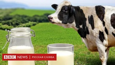 Программа «Пейте дети молоко — будете здоровы» 2018, Хохольский район —  дата и место проведения, программа мероприятия.