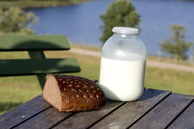 Польза молока — Нож