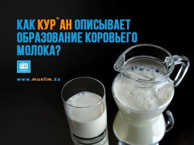 Конспект интегрированного занятия в старшей группе «О пользе молока и  молочных продуктов» (9 фото). Воспитателям детских садов, школьным учителям  и педагогам - Маам.ру