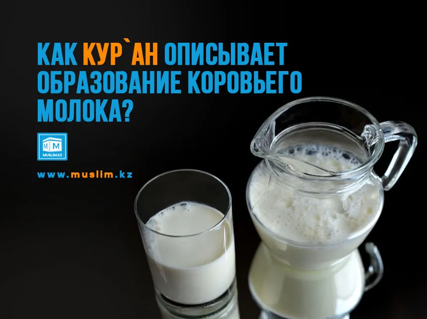 Конспект интегрированного занятия в старшей группе «О пользе молока и молочных продуктов» (9 фото). Воспитателям детских садов, школьным учителям и педагогам - Маам.ру Конспект интегрированного занятия в старшей группе «О пользе молока и молочных продуктов» (9 фото). Воспитателям детских садов, школьным учителям и педагогам - Маам.ру