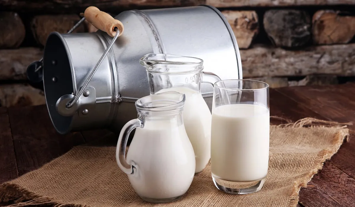 ПОЛЬЗА И ВРЕД МОЛОЧНЫХ ПРОДУКТОВ – тема научной статьи по животноводству и молочному делу читайте бесплатно текст научно-исследовательской работы в электронной библиотеке КиберЛенинка ПОЛЬЗА И ВРЕД МОЛОЧНЫХ ПРОДУКТОВ – тема научной статьи по животноводству и молочному делу читайте бесплатно текст научно-исследовательской работы в электронной библиотеке КиберЛенинка