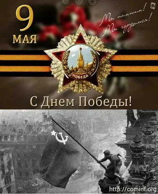 Проект «Шаги к Победе» (хроника последних дней войны). 24 апреля 1945 года  - Российское историческое общество