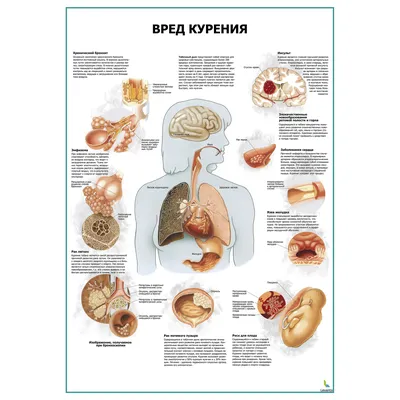 О вреде курения