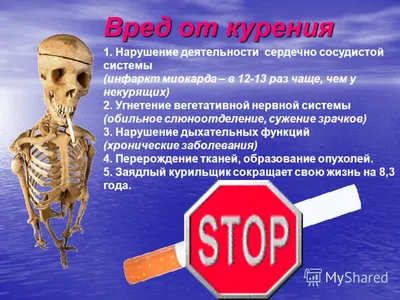 О вреде курения | Стоматология