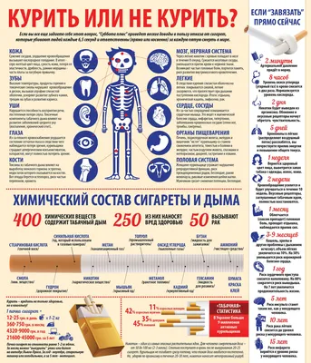 Информация о вреде курения - Новости - Администрация Усть-Балейского  муниципального образования - Органы местного самоуправления и учреждения -  Усть-Балейское муниципальное образование