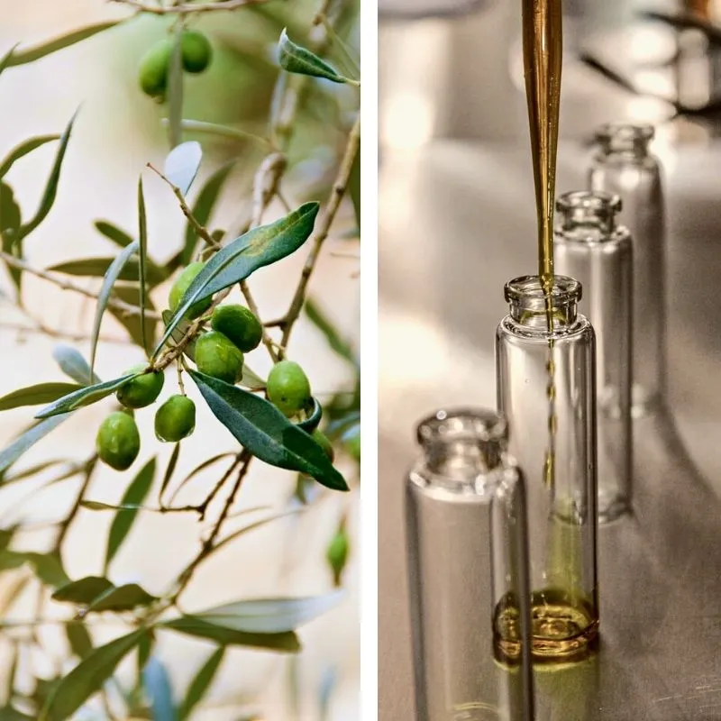 ОЛИВКИ ЗЕЛЕНЫЕ BARCELITO С КОСТОЧКОЙ 280/320 300МЛ от интернет-магазина Carefood ОЛИВКИ ЗЕЛЕНЫЕ BARCELITO С КОСТОЧКОЙ 280/320 300МЛ от интернет-магазина Carefood
