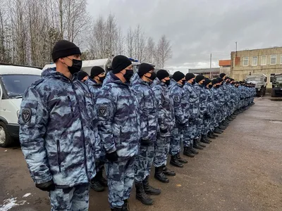 ОМОН: последние новости на сегодня, самые свежие сведения | ФОНТАНКА.ру -  новости Санкт-Петербурга