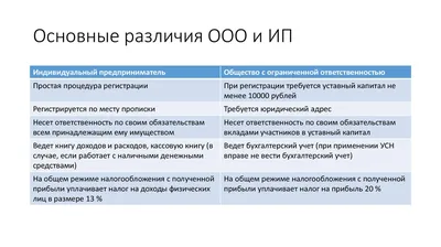 Как открыть ООО в 2024 году: пошаговая инструкция