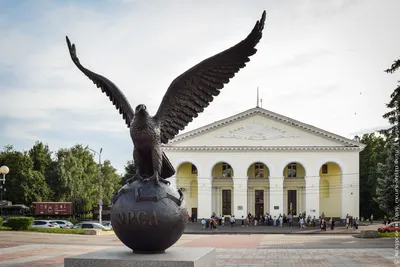Аэрография Орел 🦅 на авто: на капот, крышу, двери и весь кузов