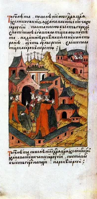 https://riavrn.ru/districts/novokhopyorsk/redkogo-krasnoknizhnogo-orla-zmeeyada-zametili-v-voronezhskoj-oblasti/