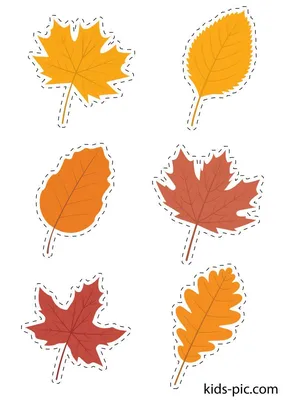 Шаблоны Осенних Листьев Для Вырезания | Kids-Pic.com | Leaf template, Fall  leaf template, Autumn activities for kids