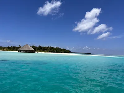 Фериду - Wild Maldives