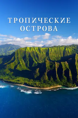 Тропические острова (сериал, 1 сезон, все серии), 2020 — описание,  интересные факты — Кинопоиск