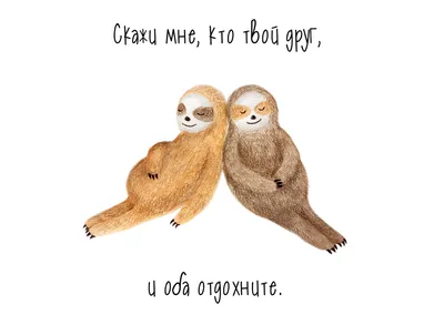 Просто отдохни | Пикабу