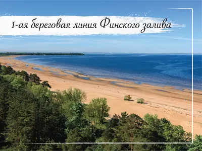 Дом отдыха «ВКС-Кантри» Сосновый бор | Владимирская область | Владимир -  официальные цены на 2024 год
