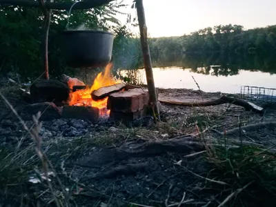 Нескучный и модный кемпинг: как весело и с комфортом отдохнуть на природе