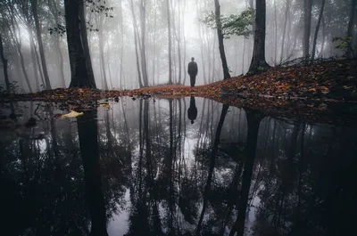 Отражения в фотографиях. Как это делают?