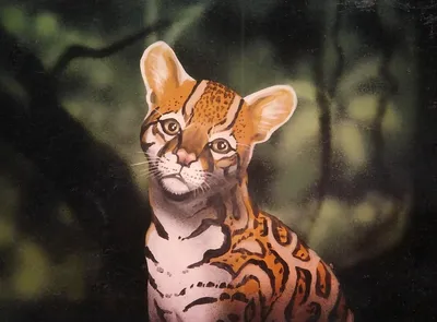 Ocelot