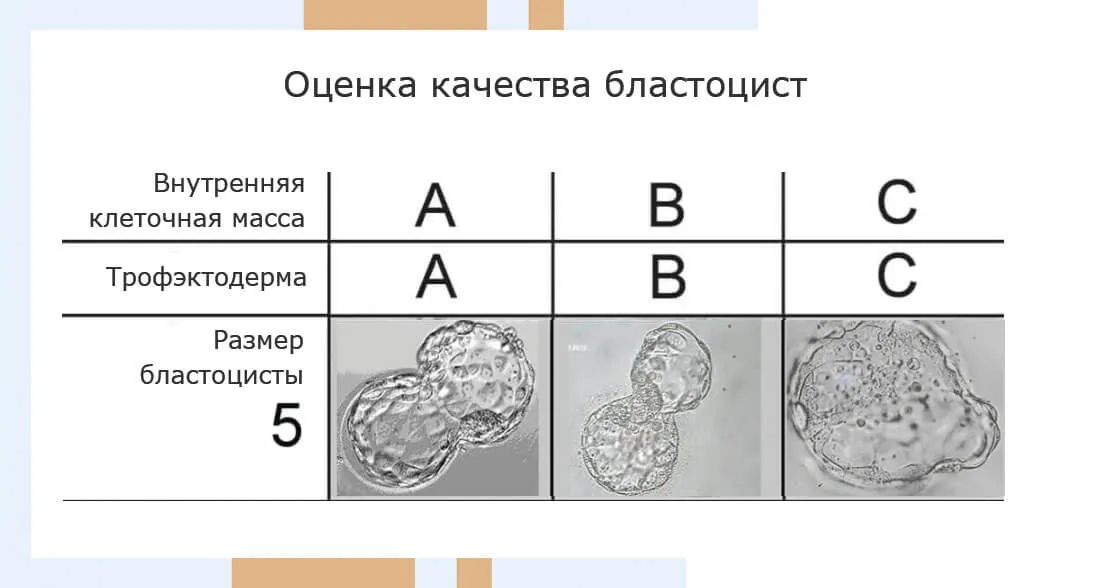Какая оценка самая объективная? | Хакнем Школа | Дзен Какая оценка самая объективная? | Хакнем Школа | Дзен