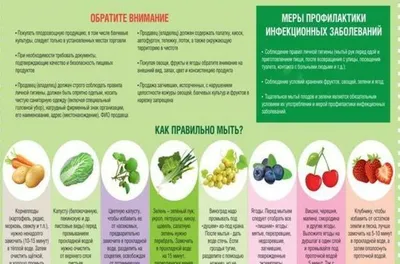 Овощи и фрукты - технические понятия, а ягода понятие ботаническое |  Огородники