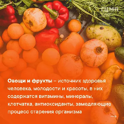 Аппарат для мытья продуктов | Дезинфектор фруктов и овощей — Товары оптом  для вашего бизнеса — MILENIY