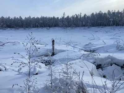 Бадукские озера (Теберда, Домбай) - фото, как добраться на машине, маршрут