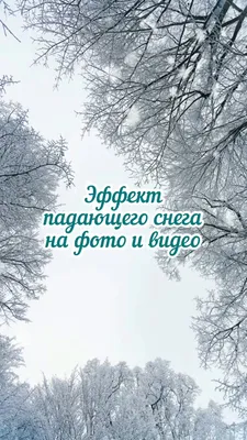 Реальный падающий снег на черном фоне для использования в режиме наложения  в графическом редакторе. стоковое фото ©elena2067.mail.ru 548848238