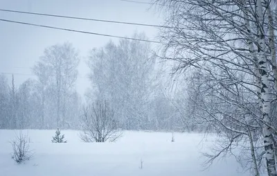 Снеговика Юта с ведром на голове платок и на светлом фоне падающего снега с  плоской иллюстрацией вектора Иллюстрация вектора - иллюстрации  насчитывающей шарж, иллюстрация: 195578883