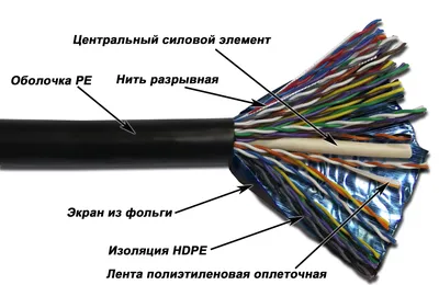 Единая сетка пар — Справочник учебного процесса НИУ ВШЭ — Национальный  исследовательский университет «Высшая школа экономики»