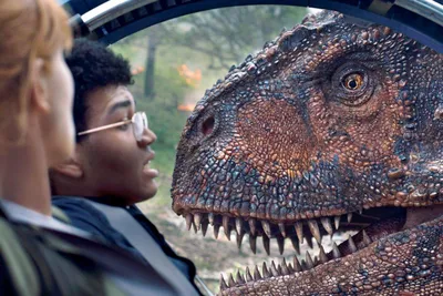 Конструктор LEGO Jurassic World - Исследования трицератопсов Лего Парк  Юрского периода 76959 купить в Москве | Доставка по России.