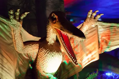 Набор 4 динозавра герои фильм Парк юрского периода, Блю, Дилофозавр  Jurassic World (ID#1950641039), цена: 1200 ₴, купить на Prom.ua