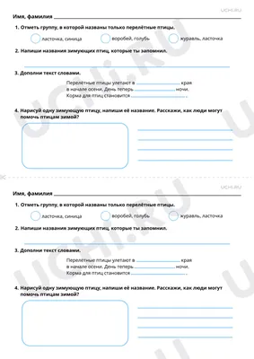 Рабочие листы по теме «Мир животных. Перелётные и зимующие птицы».  Повышенный уровень