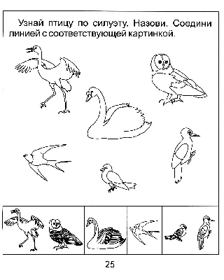 группа \"Непоседы\": \"Зимующие птицы Урала\"